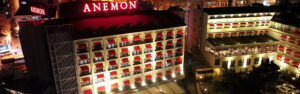 ANEMON BURSA GÖNÜLFERAH